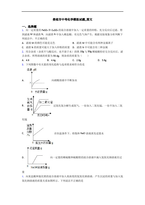 娄底市中考化学模拟试题_图文