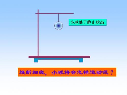 高一物理 自由落体运动 ppt课件