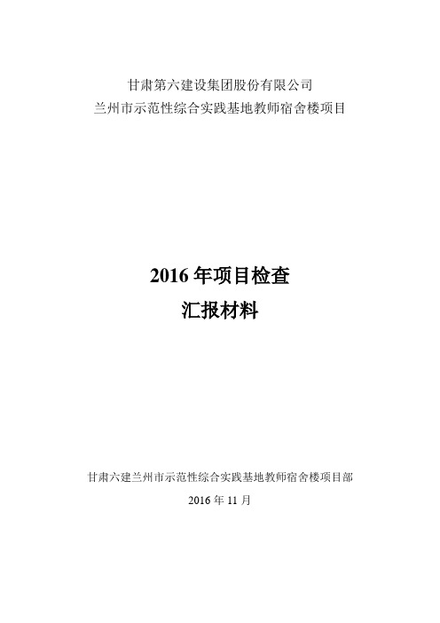 2016集团检查汇报材料