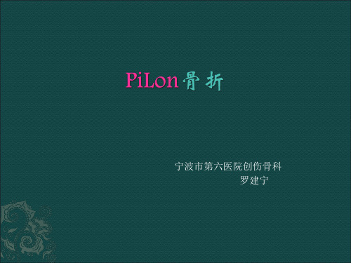 Pilon骨折