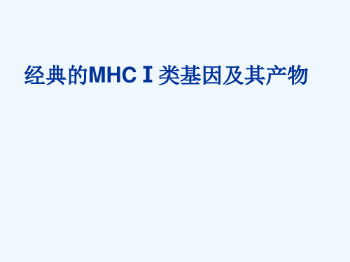 经典的MHCⅠ类基因及其产物