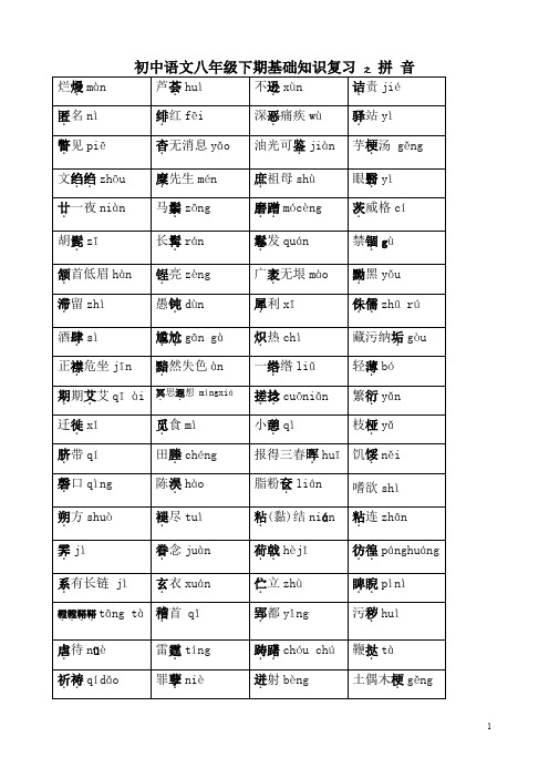 初中语文八年级下期基础知识复习之拼音