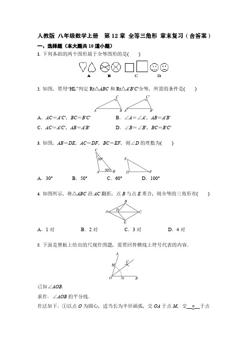 人教版 八年级数学上册  第12章 全等三角形 章末复习 (含答案)