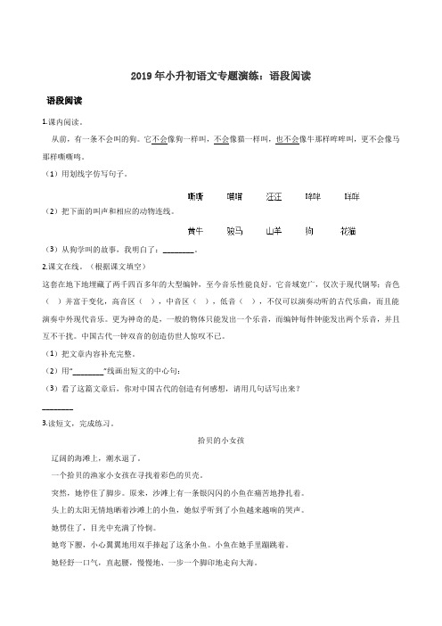 六年级下册试题--2019年小升初语文专题演练：语段阅读一 全国通用(含答案)