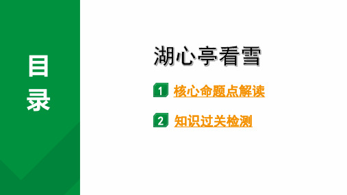 2024成都语文中考试题研究备考第五部分 古诗文阅读 专题一 文言文阅读 湖心亭看雪(练)