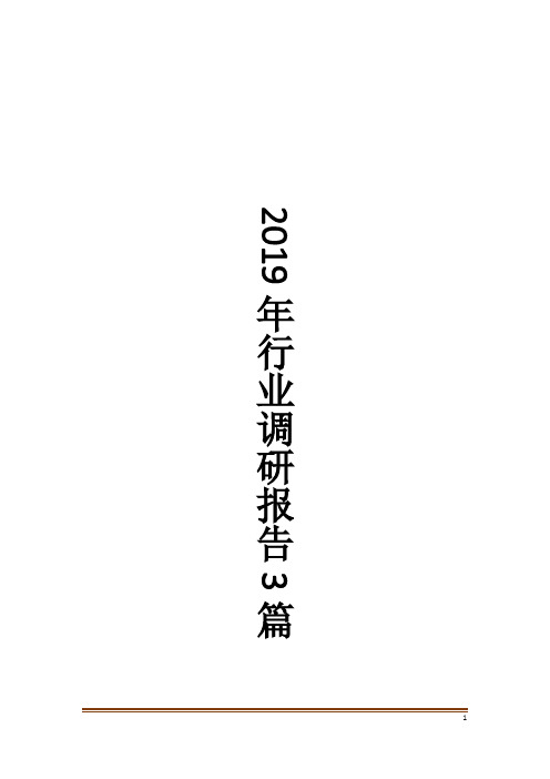 2019年行业调研报告3篇