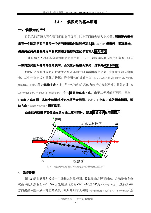 2019-分享教案-4偏光显微镜