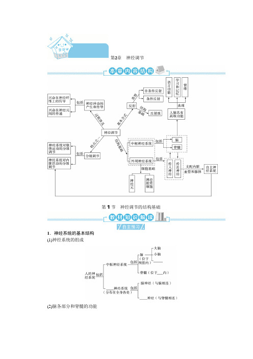 人教版高中生物选择性必修1第2章第1节神经调节的结构基础学案