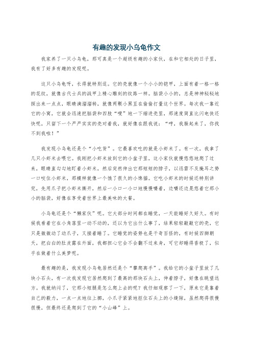 有趣的发现小乌龟作文