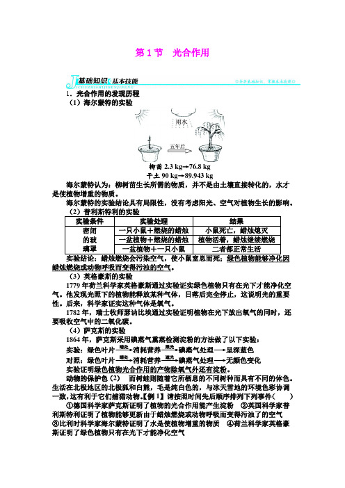 5.1 光合作用 学案(北师大版七年级上)