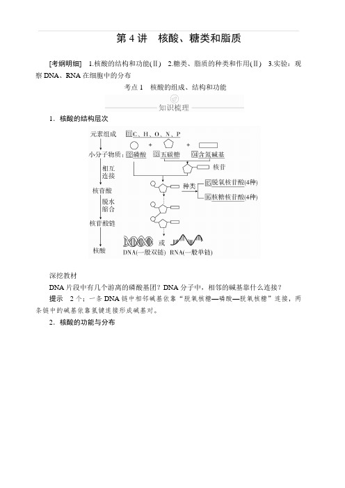 2020年高考生物一轮复习创新版文档：必修1第1单元走近细胞及细胞有分子组成第4讲含答案