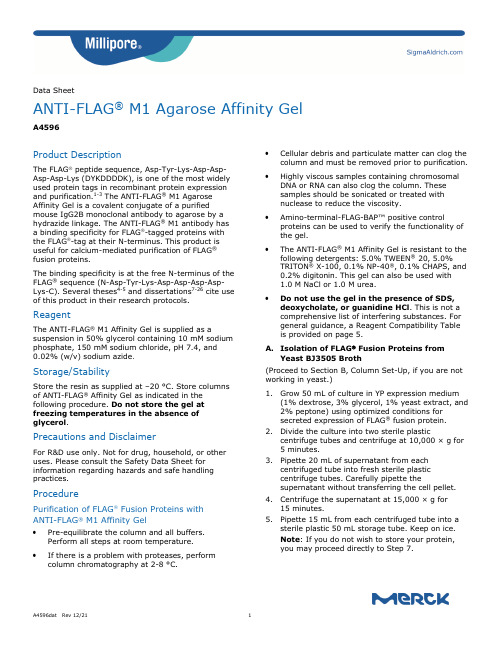 FLAG M1 Agarose Affinity Gel 产品说明书