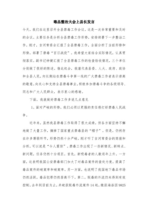 毒品整治大会上县长发言.doc