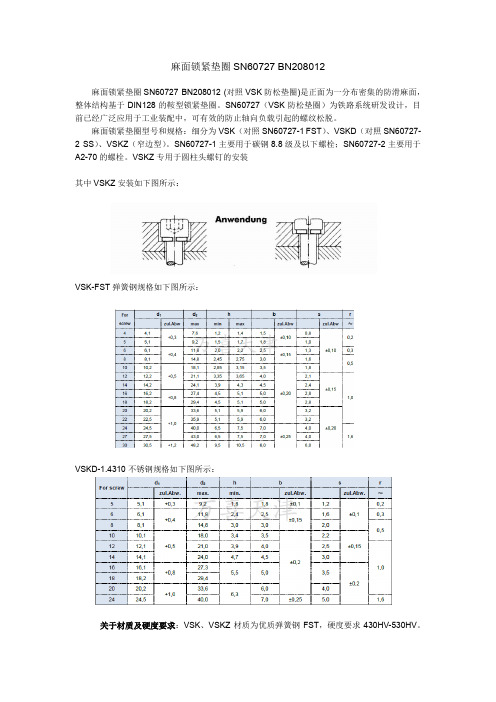 麻面锁紧垫圈SN60727 BN208012