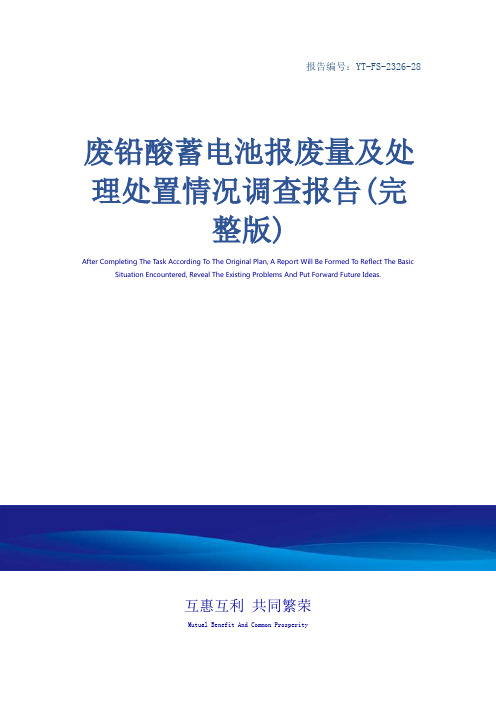 废铅酸蓄电池报废量及处理处置情况调查报告(完整版)