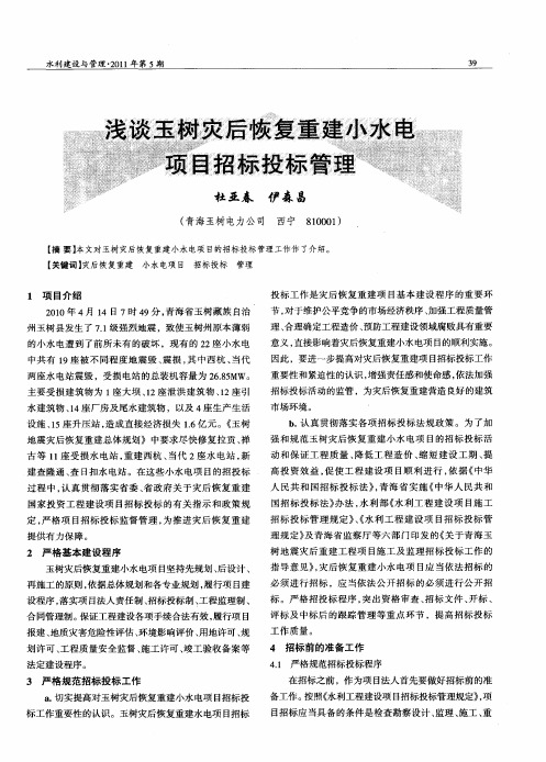 浅谈玉树灾后恢复重建小水电项目招标投标管理