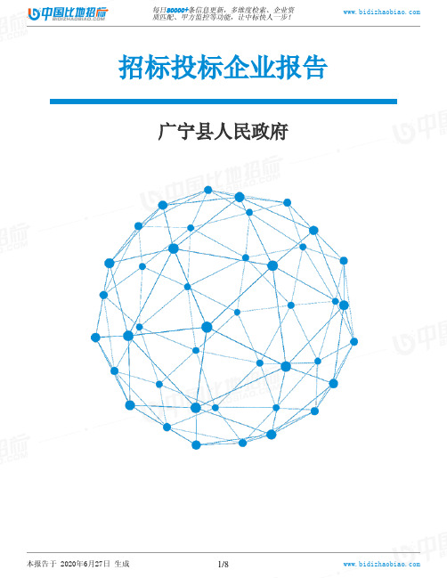 广宁县人民政府-招投标数据分析报告