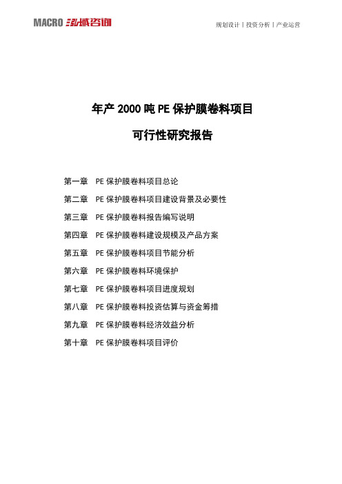 年产2000吨PE保护膜卷料项目可行性研究报告