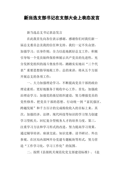 新当选支部书记在支部大会上表态发言