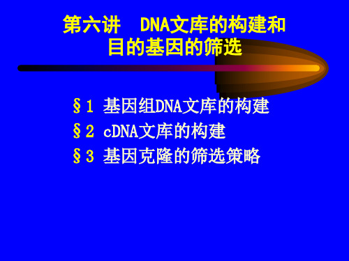 DNA文库的构建和目的基因