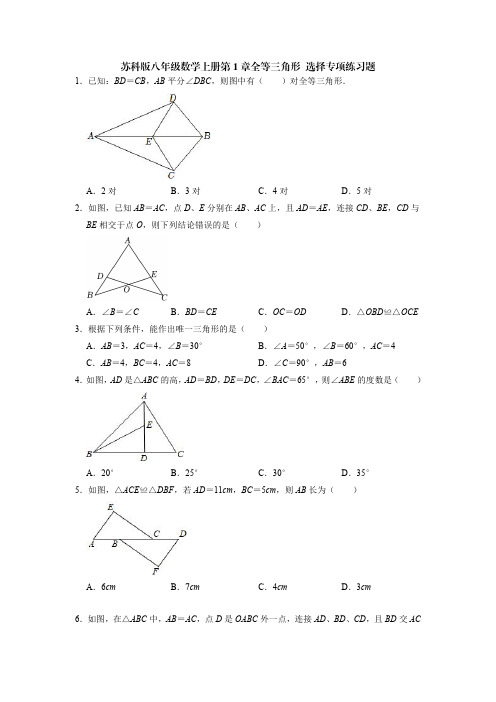 苏科版八年级数学上册第1章全等三角形 选择专项练习题(含解析)-doc