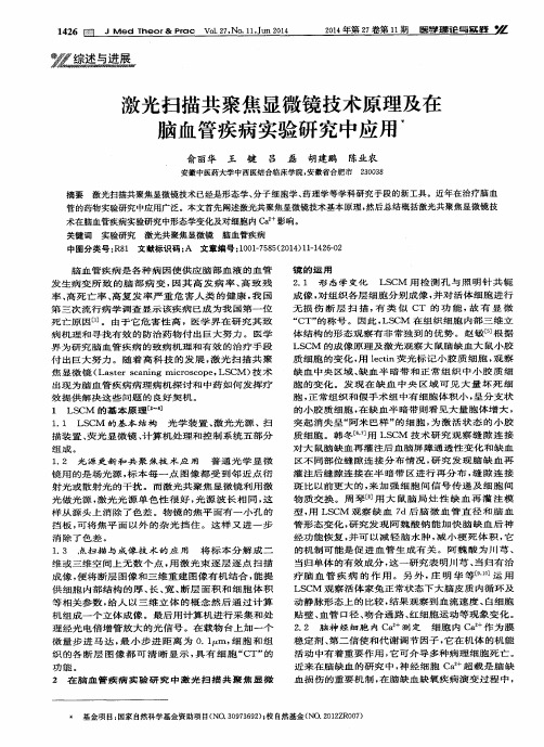 激光扫描共聚焦显微镜技术原理及在脑血管疾病实验研究中应用