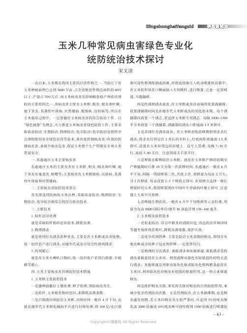 玉米几种常见病虫害绿色专业化统防统治技术探讨