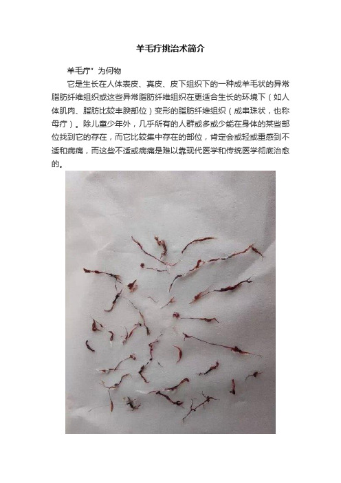 羊毛疔挑治术简介