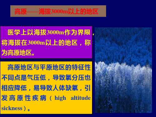 高原海拔3000m以上的地区