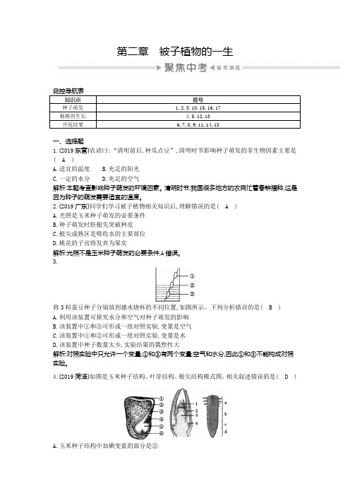 2020中考生物复习检测：教材知识梳理 第三单元 第二章 被子植物的一生