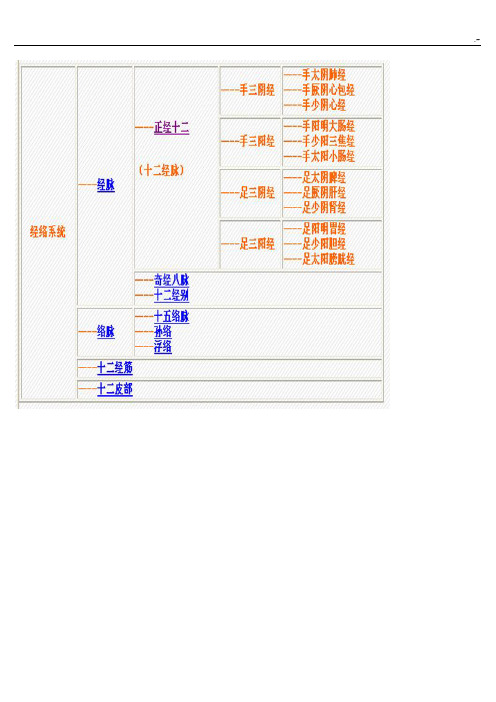 全身14经络全套示范图