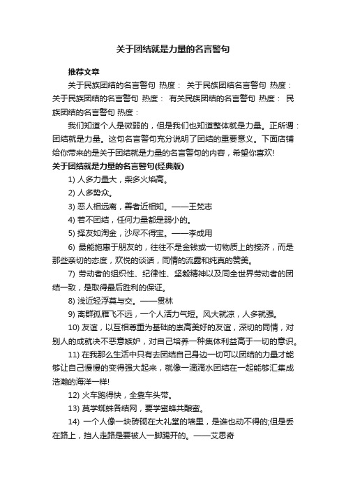 关于团结就是力量的名言警句