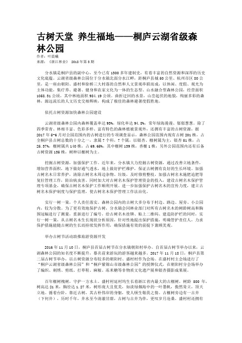 古树天堂 养生福地——桐庐云湖省级森林公园