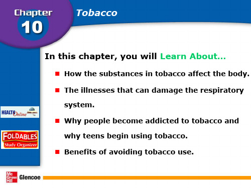 烟草英文 Tobacco PPT