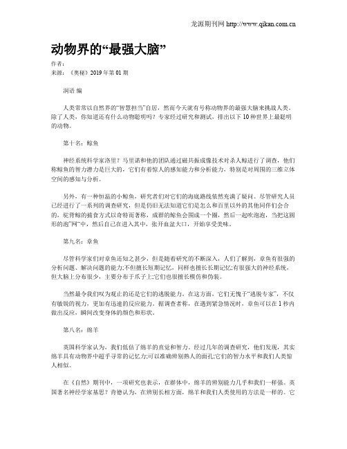 动物界的“最强大脑”