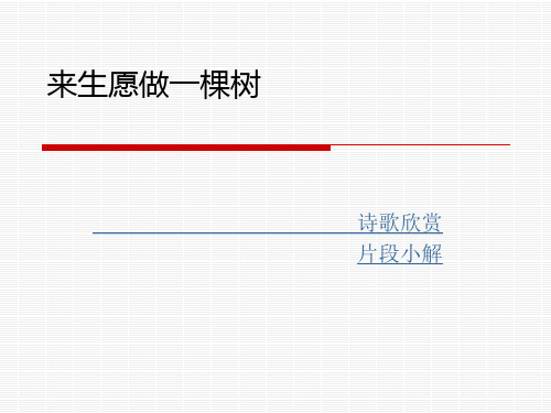 现代诗歌赏析~来生愿做一棵树