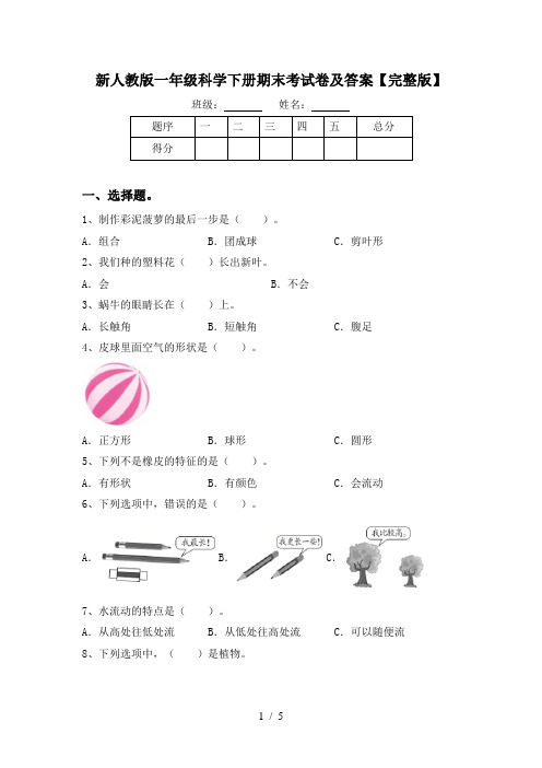 新人教版一年级科学下册期末考试卷及答案【完整版】