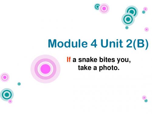 Module 4 New technology Unit 2 If a snake bites you , take a photo(B) 同步课件 (外研版八年级下)