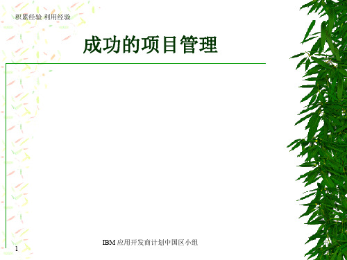 成功的项目管理-IBM