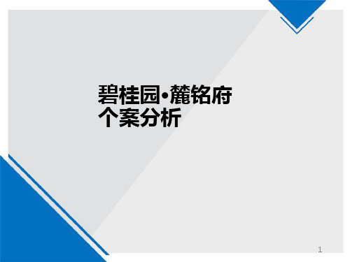 房地产案例：碧桂园麓铭府个案分析