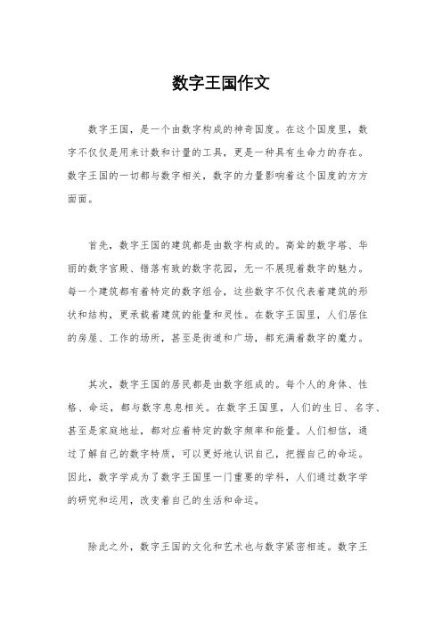 数字王国作文