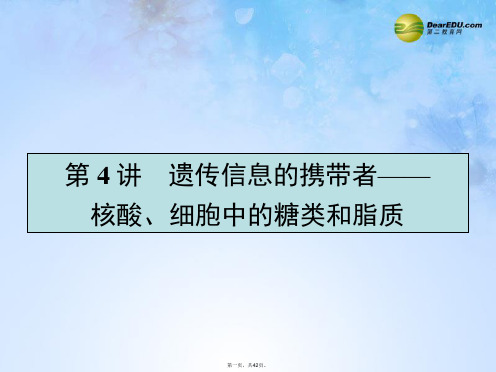 高考生物一轮复习 1.4 遗传信息的携带者 核酸、细胞中的糖类和脂质课件 新人教版必修1