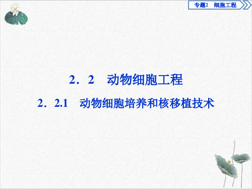 动物细胞培养和核移植技术PPT课件(原文)PPT