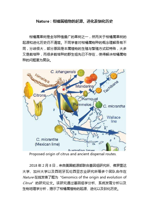 Nature：柑橘属植物的起源、进化及驯化历史