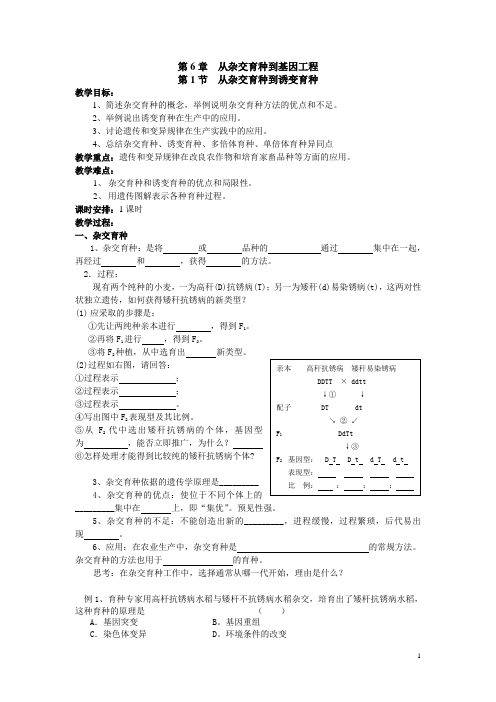 人教高中生物必修2第1节 从杂交育种到诱变育种 (2)  教案