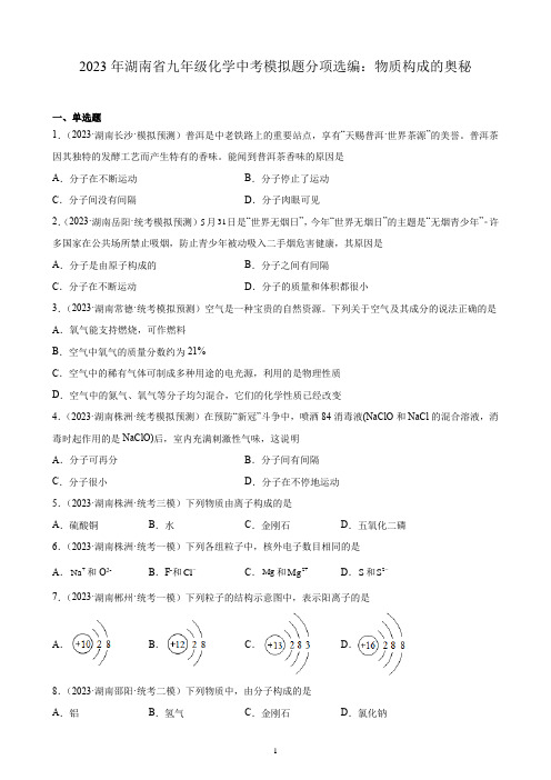 2023年湖南省九年级化学中考模拟题分项选编：物质构成的奥秘