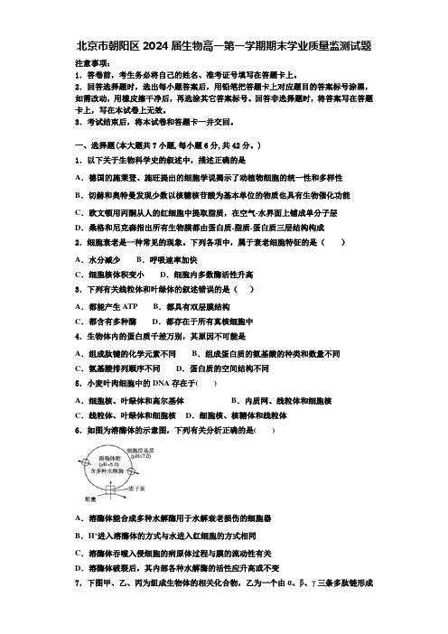 北京市朝阳区2024届生物高一第一学期期末学业质量监测试题含解析