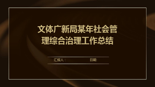 文体广新局某年社会管理综合治理工作总结