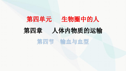 人教版七年级生物下册第四章第四节输血与血型课件