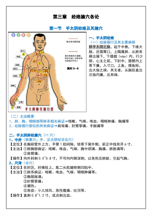 经络腧穴各论(适用)